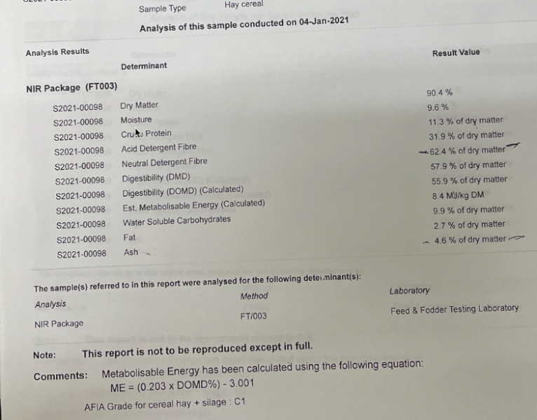 250mt Wheaten Vetch Hay 500-550kg 8x4x3 Bales (20/21)
