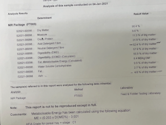 250mt Wheaten Vetch Hay 500-550kg 8x4x3 Bales (20/21)
