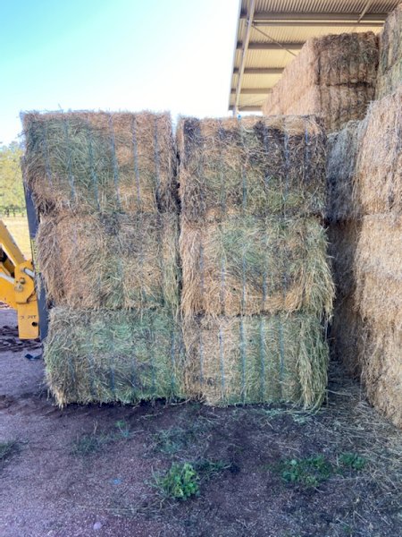 Lucerne Hay 8x4x3 bale's 1st and 2nd cut mix