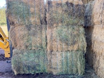 Lucerne Hay 8x4x3 bale's 1st and 2nd cut mix