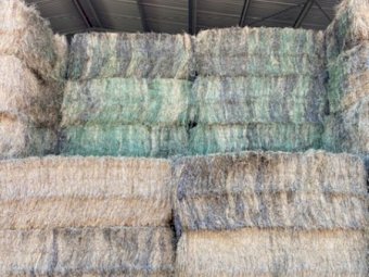 Lucerne Hay 8x4x3 bale's 1st and 2nd cut mix