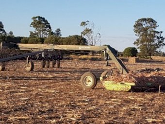 2009 Schulte 5026 Trailing Slasher