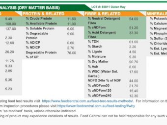 200mt Oaten Hay 450kg 5x4 Round Bales