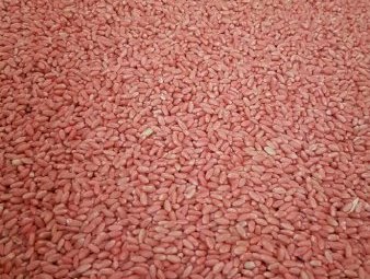 1.25mt Kittyhawk Seed Wheat