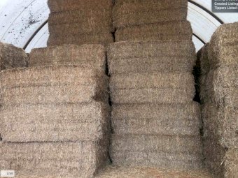 Vetch Hay 8x4x3 Bales Shedded