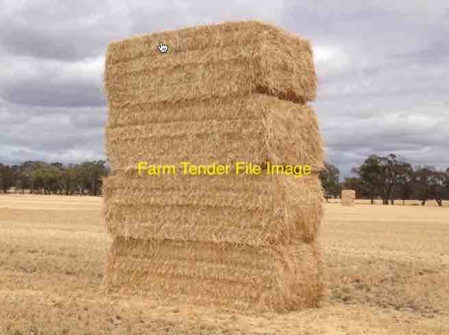 200mt Windrowed Barley Straw 8x4x3