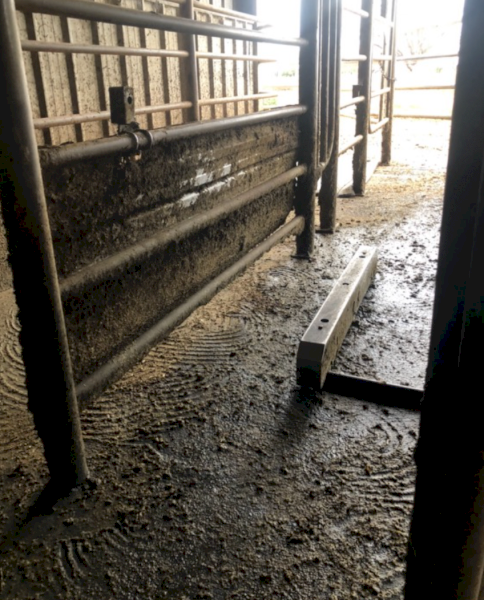 Westfalia Automatic Teat Sprayer