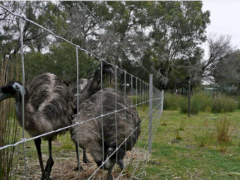 Southern Wire 8/90/15 Farm Fence