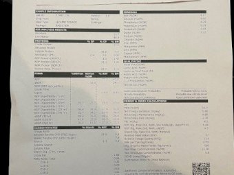 100mt Vetch Hay 8x4x3 Bales