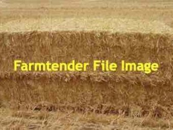 100mt Oaten Straw 8x4x3 Bales (Header Tailings)