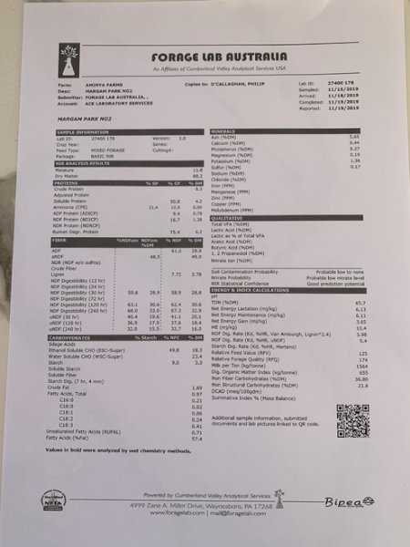 50mt Oaten & Vetch 8x4x3 Bales