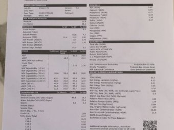 50mt Oaten & Vetch 8x4x3 Bales