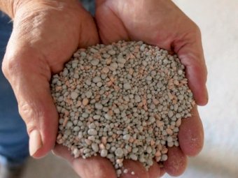 45mt approx Granuloc Z MAP