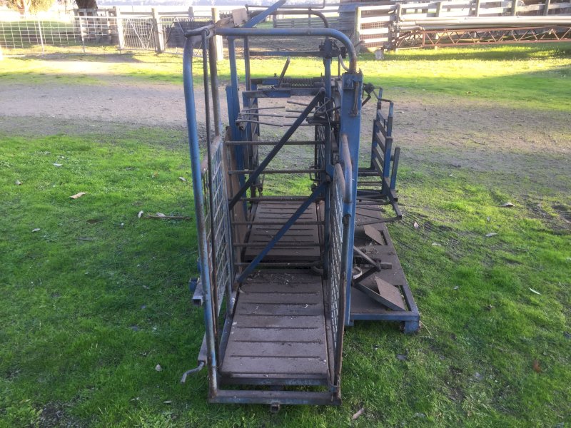 Draffen Sheep Handler