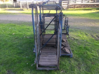 Draffen Sheep Handler