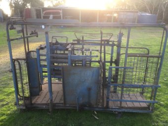 Draffen Sheep Handler