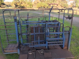 Draffen Sheep Handler