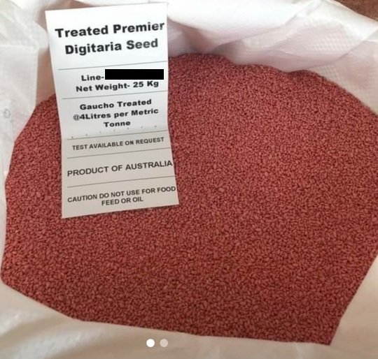 Premier Digitaria Seed (Coated)