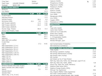 65mt Vetch Hay 540kg 8x4x3 Bales