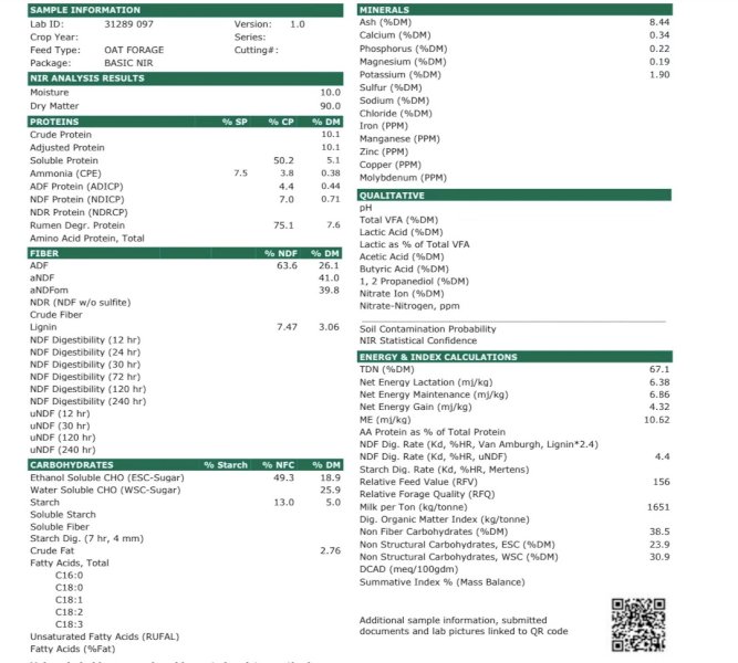 Export Quality Oaten Hay Shedded  plus Freight