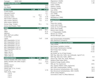 Export Quality Oaten Hay Shedded  plus Freight