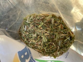 Export Quality Oaten Hay Shedded  plus Freight