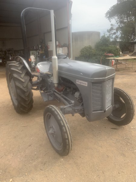 1953-54 Massey Ferguson TAE20 Tractor