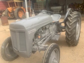 1953-54 Massey Ferguson TAE20 Tractor
