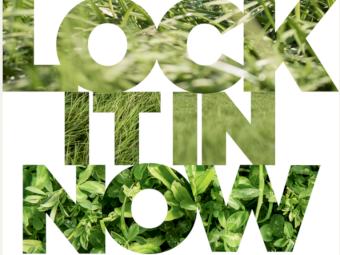 Superfect ex Geelong