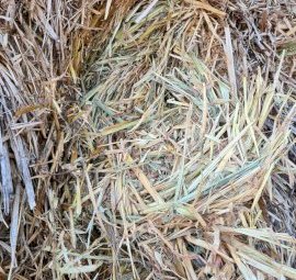 500mt Oaten Hay 500kg 8x4x3 Bales