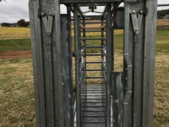 Under Auction - (A183) Kattle Gear; Kimberly Parallel  Cattle Handler with Hanging Handler 