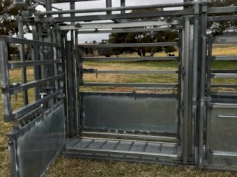 Under Auction - (A183) Kattle Gear; Kimberly Parallel  Cattle Handler with Hanging Handler 