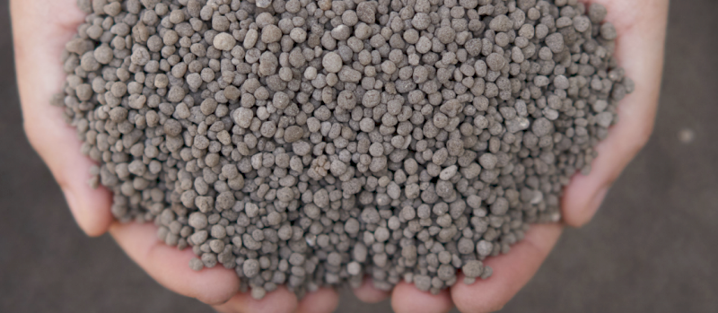 MAP ex Leeton - small and large Quantities available