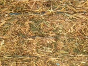 Oaten Hay 8x4x3 Bales (Shedded)