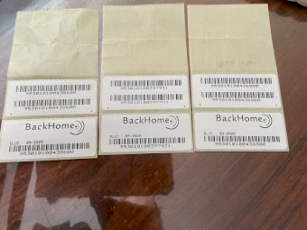 Kelpie Pups For Sale