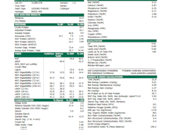 300mt Vetch Hay 610kg 8x4x3 Bales (21/22)