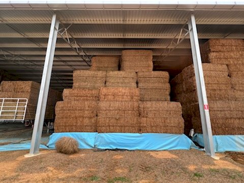 Vetch Hay 600kg 8x4x3 Bales (20/21)