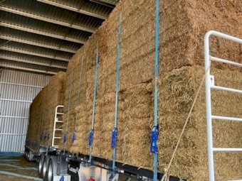 Vetch Hay 600kg 8x4x3 Bales (20/21)