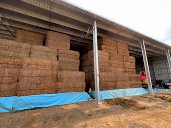 Vetch Hay 600kg 8x4x3 Bales (20/21)