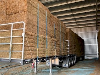 Vetch Hay 600kg 8x4x3 Bales (20/21)