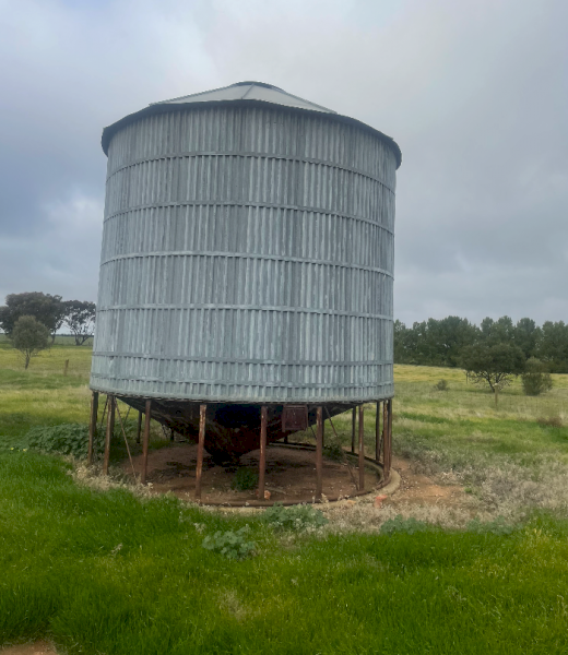 Nelson Silo 40-50 tonne x 2