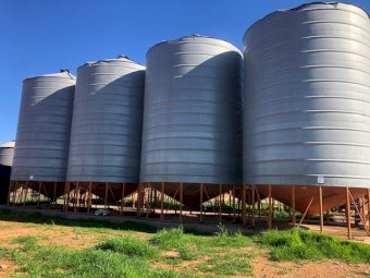 5 x Cole 60 tonne Silo's