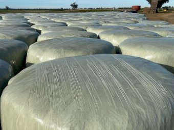 Lucerne Silage Rounds