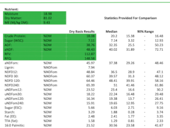 95mt Vetch Hay 550kg 8x4x3 Bales