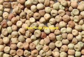 28mt Wharton Field Peas
