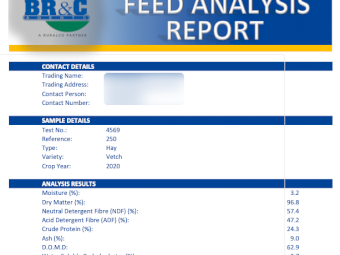 80mt Vetch Hay 8x4x3 Bales