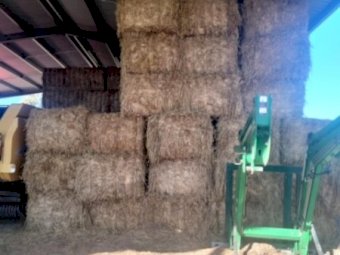 25mt Oaten Hay 8x4x3 Bales
