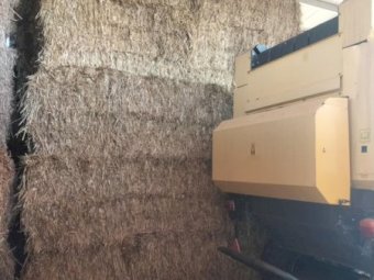 25mt Oaten Hay 8x4x3 Bales