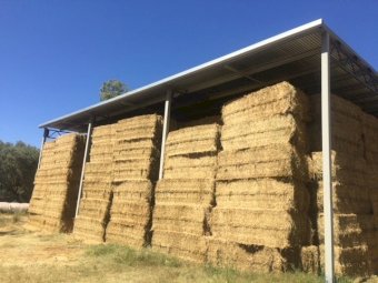Lucerne Hay 8x4x3 Bales
