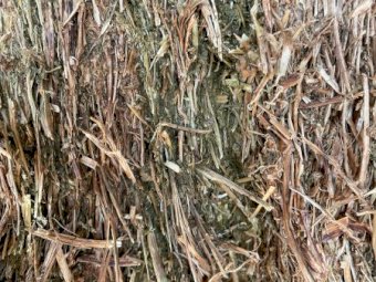 65mt approx. Vetch Hay 550kg 8x4x3 Bales